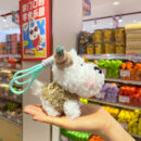 scraggly dog plush cartoon bag charm & keychain